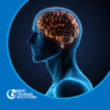 Epilepsy Awareness Training - Level 2 - Online Course - CPDUK Accredited